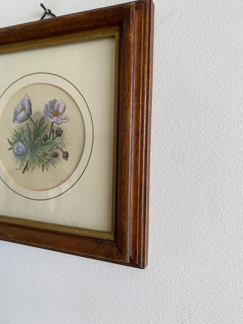 Gravure florale médaillon rond encadrement bois naturel