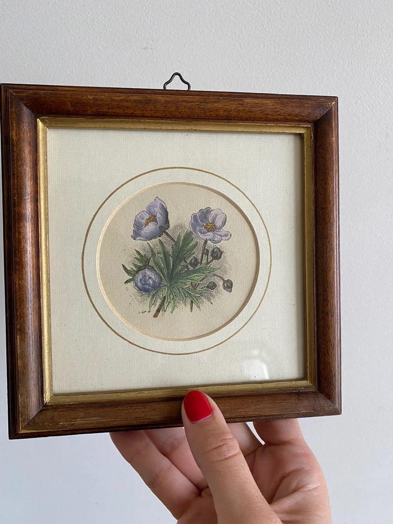 Gravure florale médaillon rond encadrement bois naturel