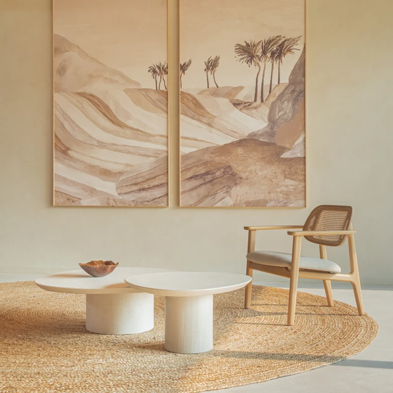 Vincent Sheppard Titus Dining Armchair