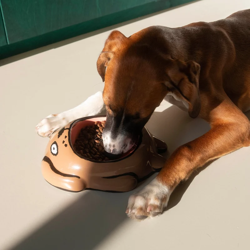 Home Studyo Jean Jullien Bowl
