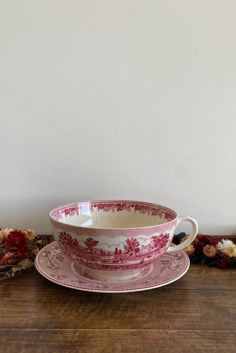 Tasse et assiette en porcelaine XL British roses Johnsons Bros collection Historic America