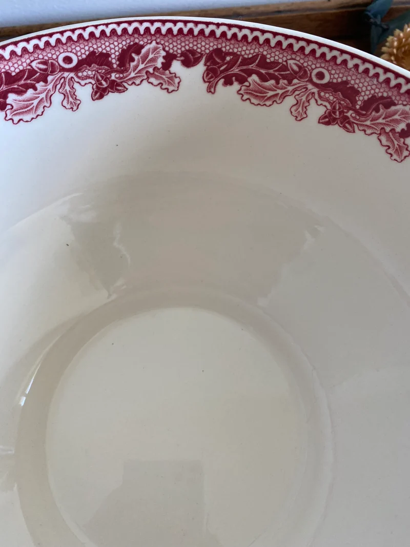 Tasse et assiette en porcelaine XL British roses Johnsons Bros collection Historic America