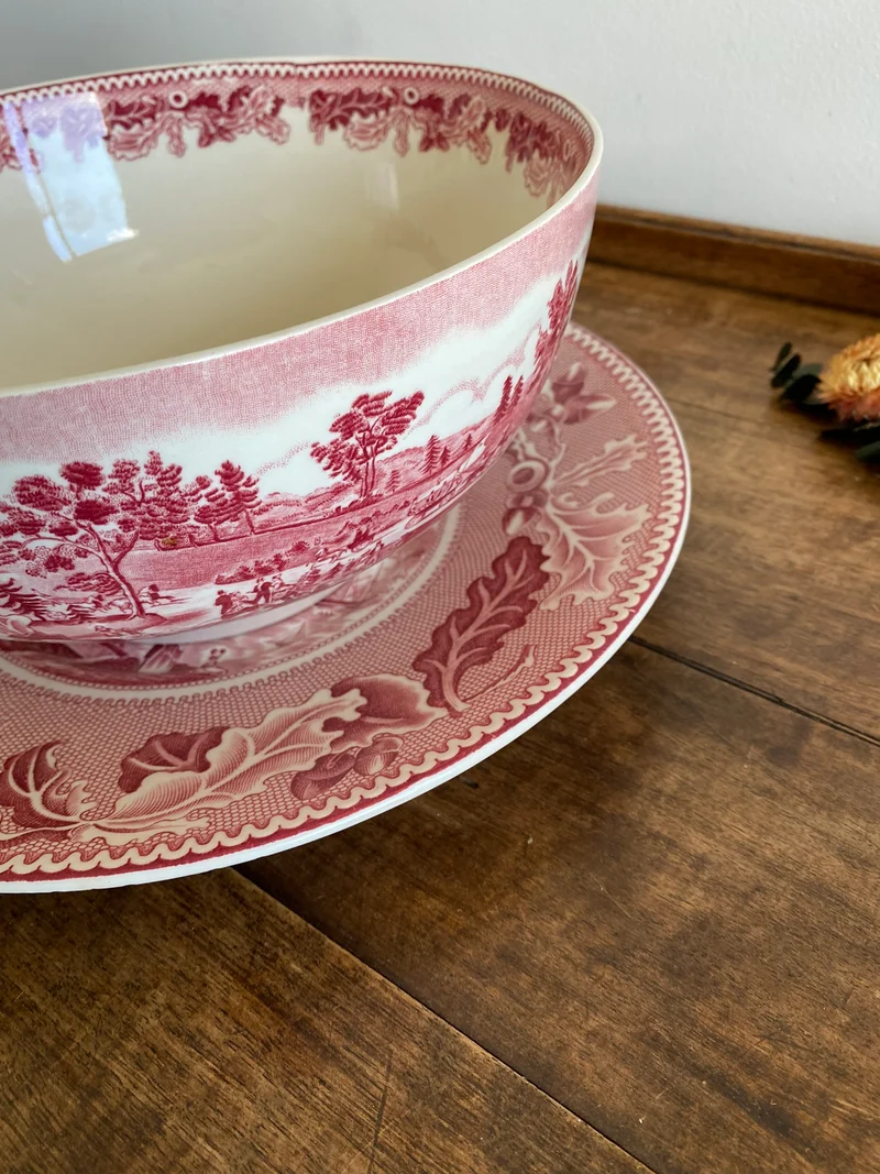 Tasse et assiette en porcelaine XL British roses Johnsons Bros collection Historic America