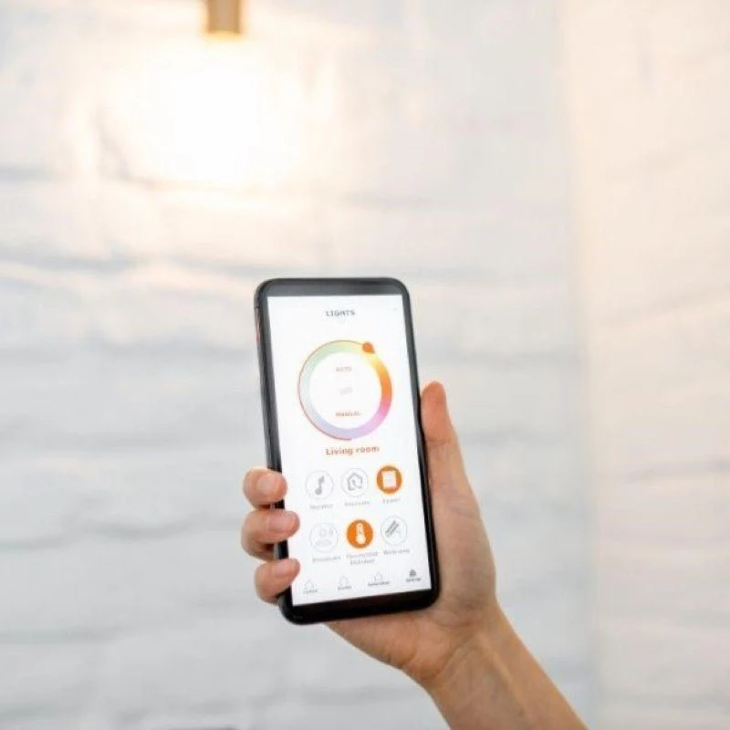 Ampoule LED Connectée WiFi E27 11W G95 RGBW