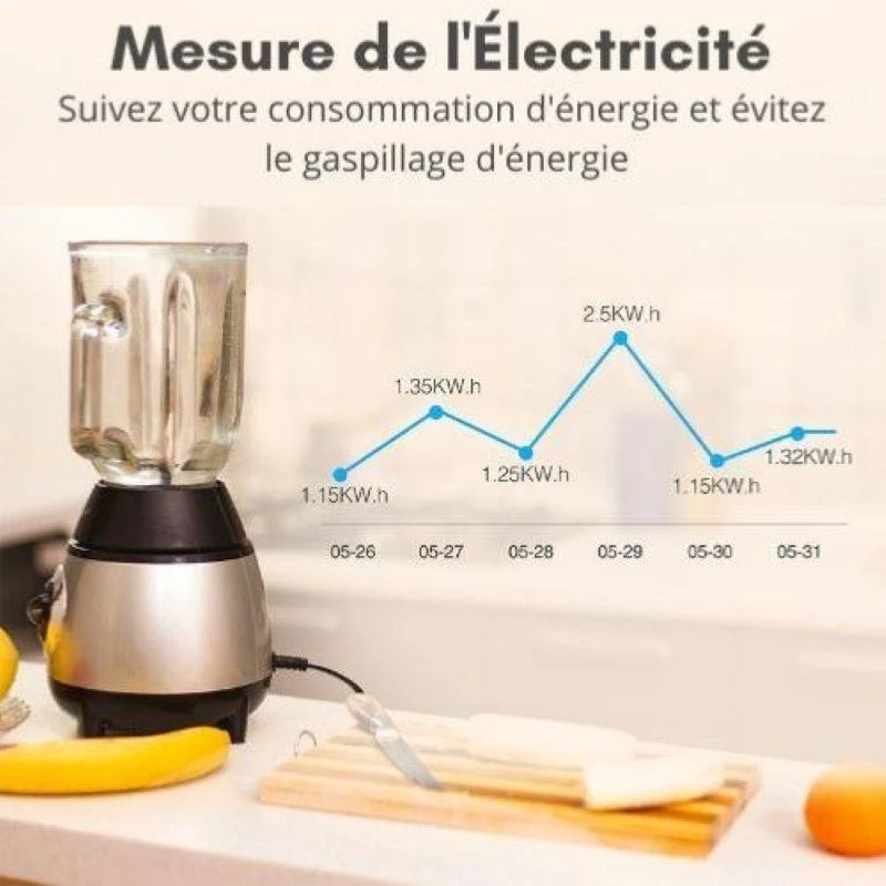 Prise Connectée Intelligente WiFi 2.4GHz 16A Blanche + 2 Ports USB 2.1A (Lot de 2)