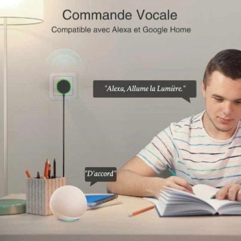 Prise Connectée Intelligente WiFi 2.4GHz 10A Blanche (Lot de 2)