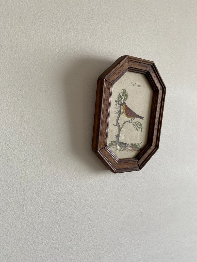 Représentations oiseaux cadres octogonaux en bois
