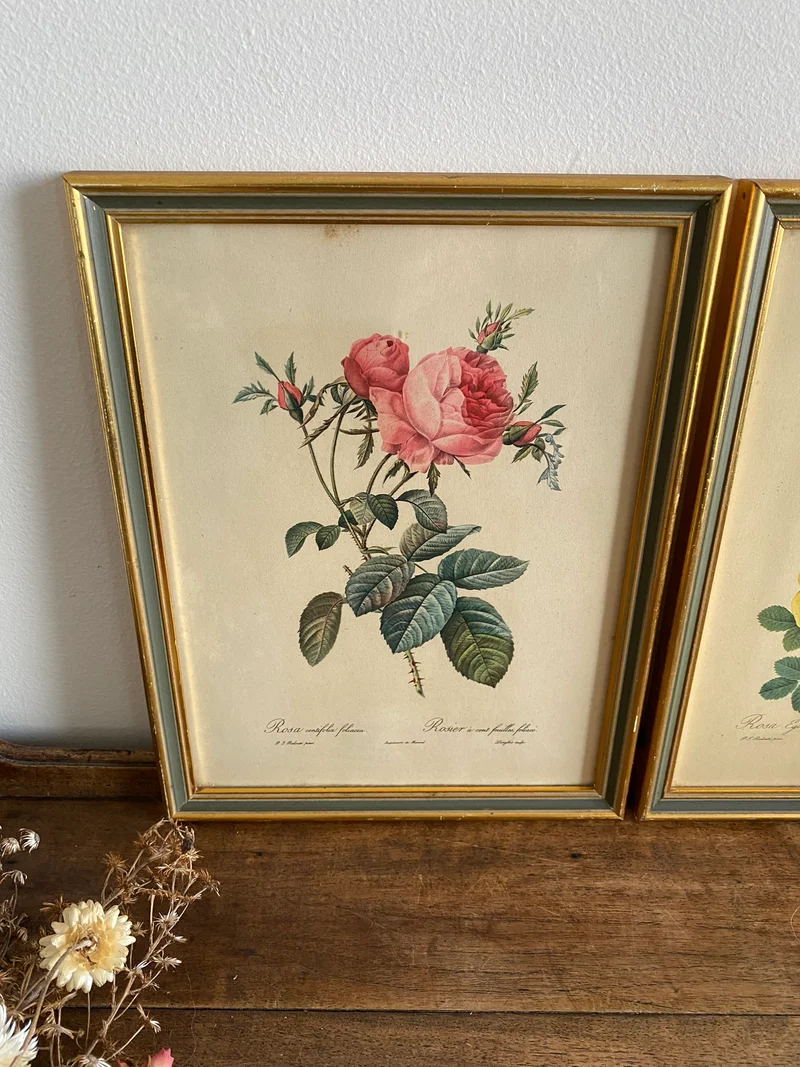 Lithographies Redouté encadrées