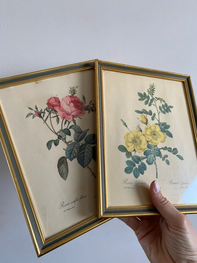 Lithographies Redouté encadrées