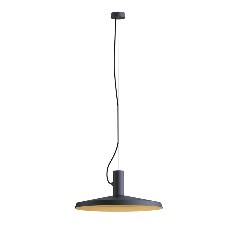 Wever & Ducré Roomor Cable PAR16 Pendant Lamp