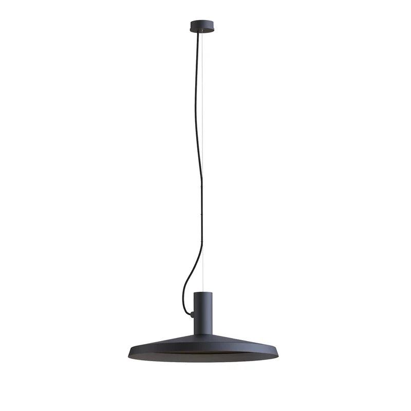 Wever & Ducré Roomor Cable PAR16 Pendant Lamp
