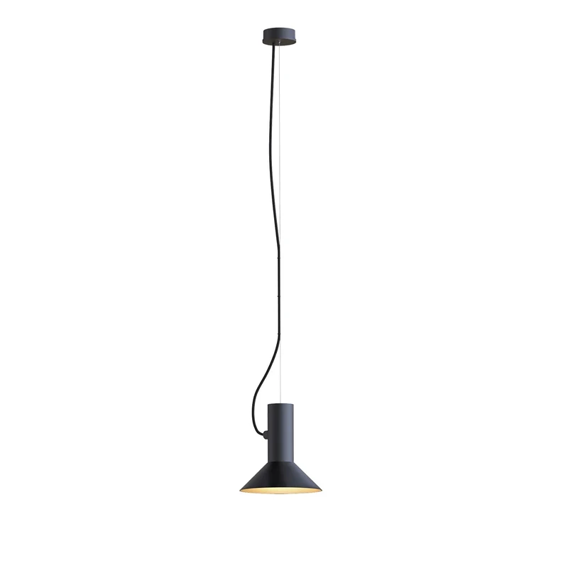 Wever & Ducré Roomor Cable PAR16 Pendant Lamp