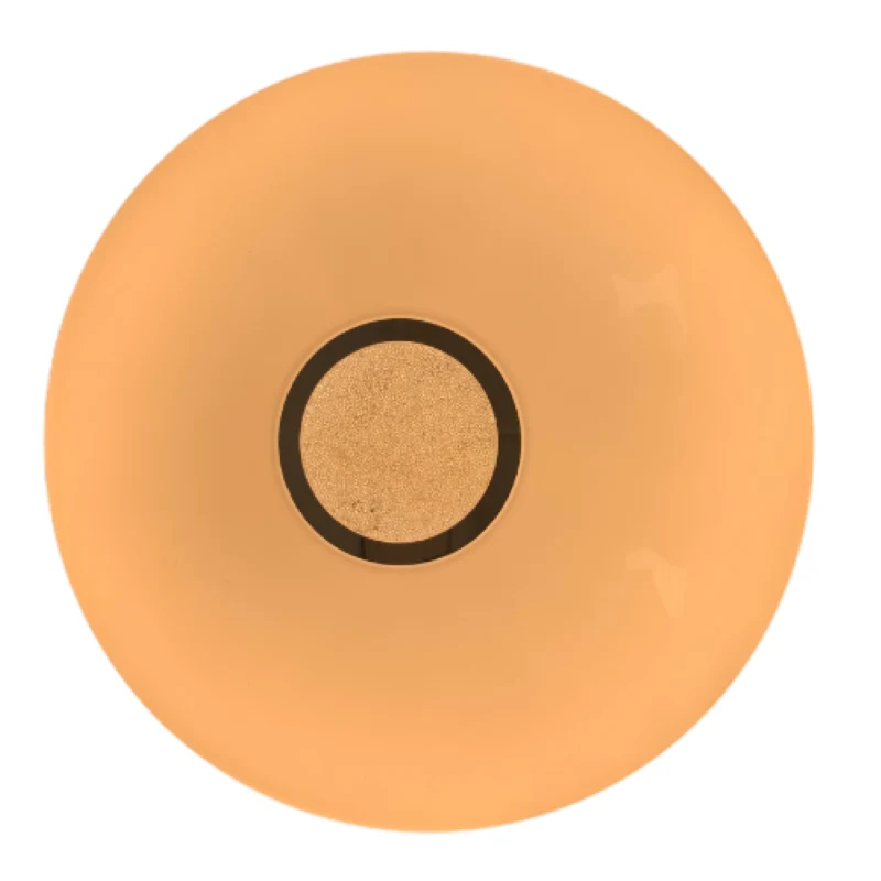 Plafonnier LED Rond à Température Variable 60W 220V - 3000K/4000K/6500K