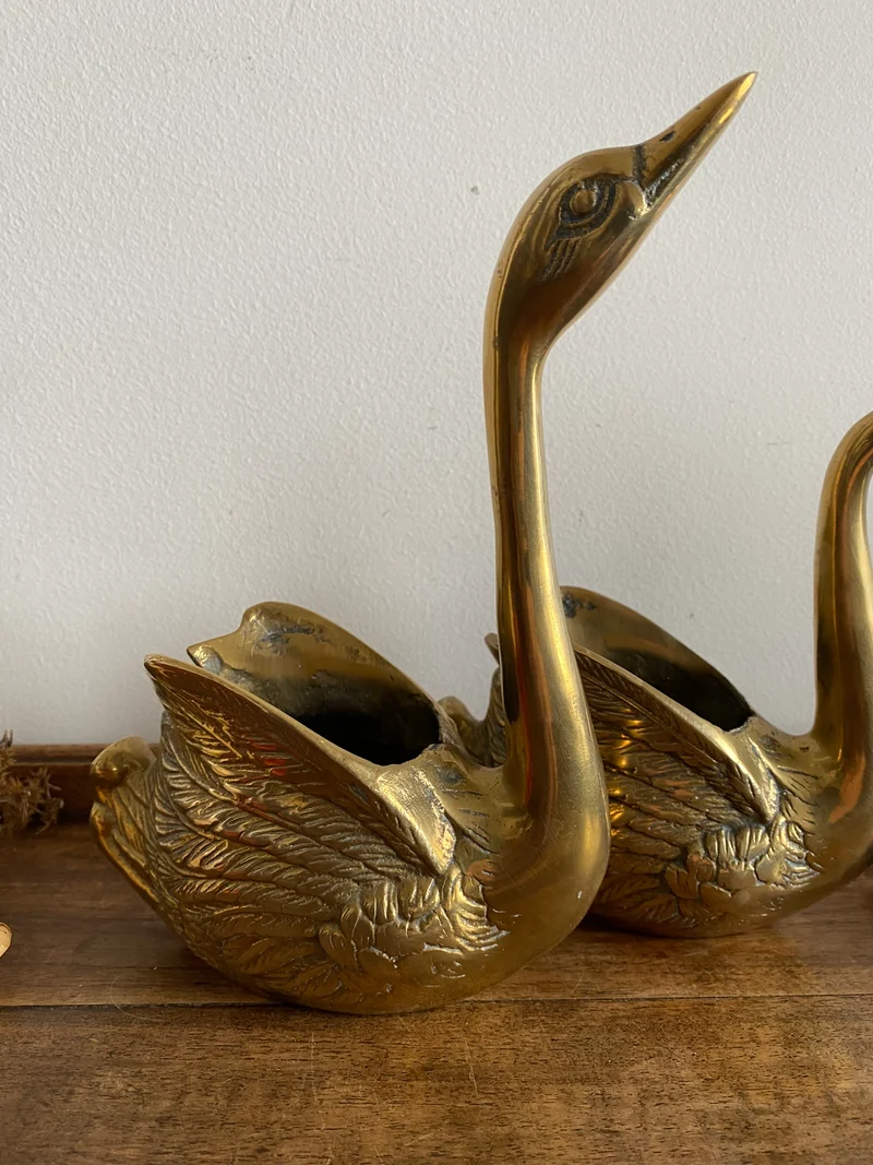 Cygnes en laiton
