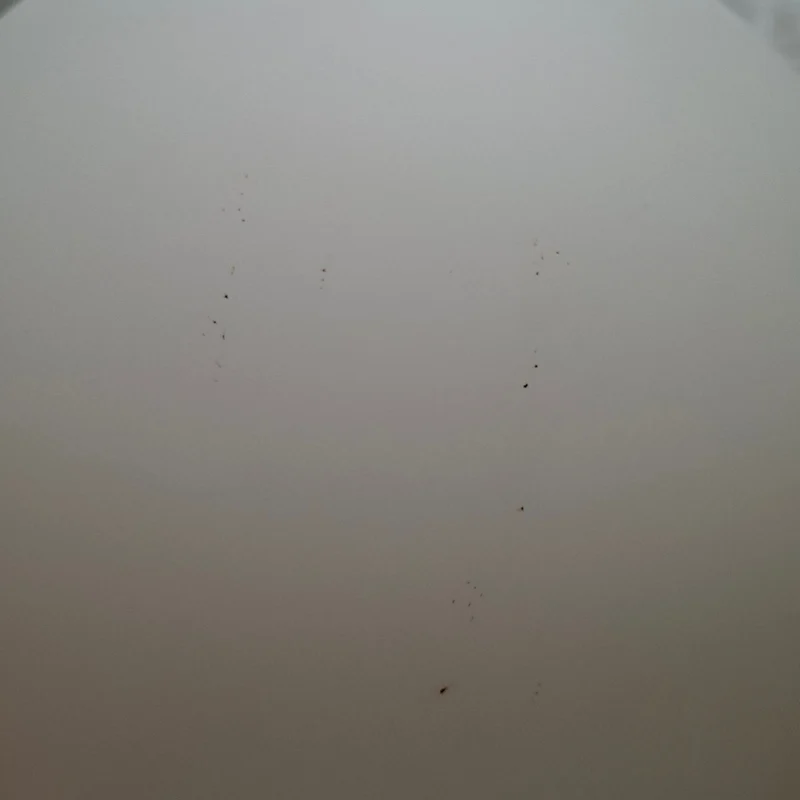 Lodes Random Solo Suspension (Ø: 23 cm / Frosted White / 2700K) - Second Chance