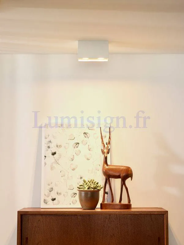 Spot plafond saillie BODI rectangle blanc