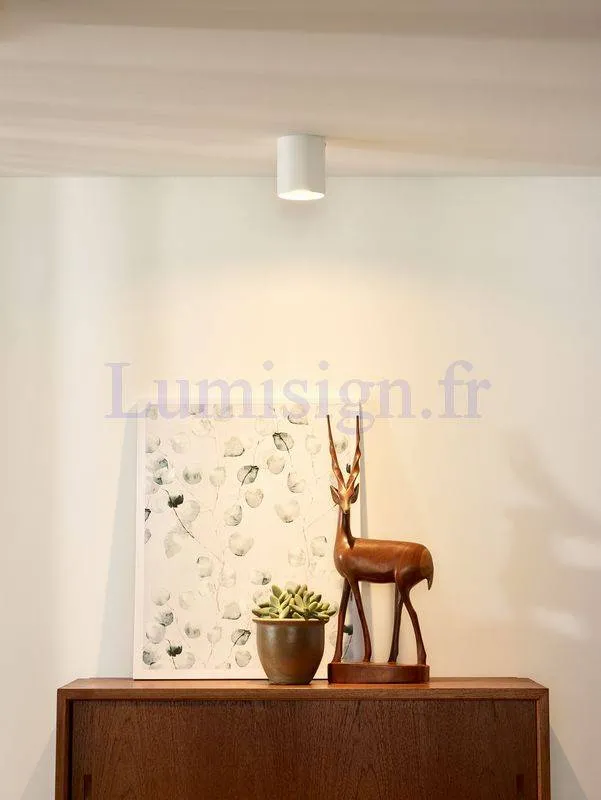 Spot plafond saillie BODI rond blanc
