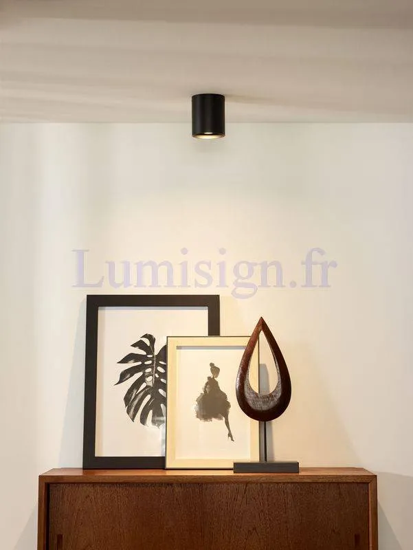 Spot plafond saillie BODI rond noir
