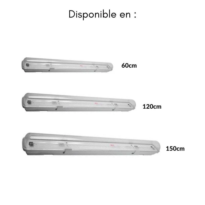 Pack de 12 - Réglette LED étanche pour Tube LED T8 120cm IP65