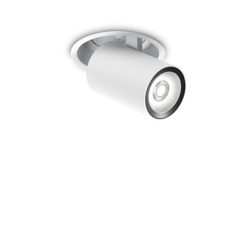 Spot Orientable Led
