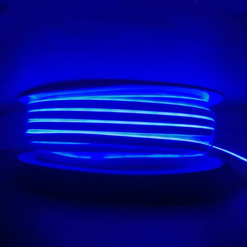Néon Flexible LED Bleu 24V 50M IP65 120LED/m