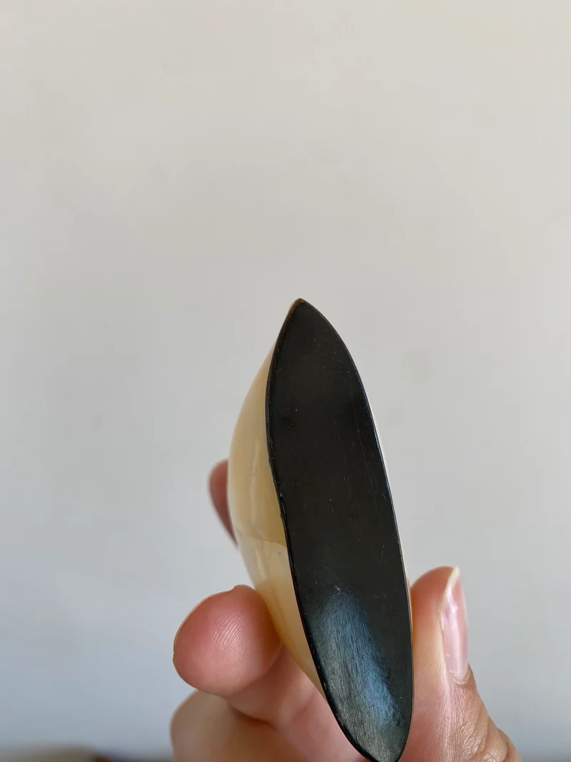 Salière et poivrière en nacre