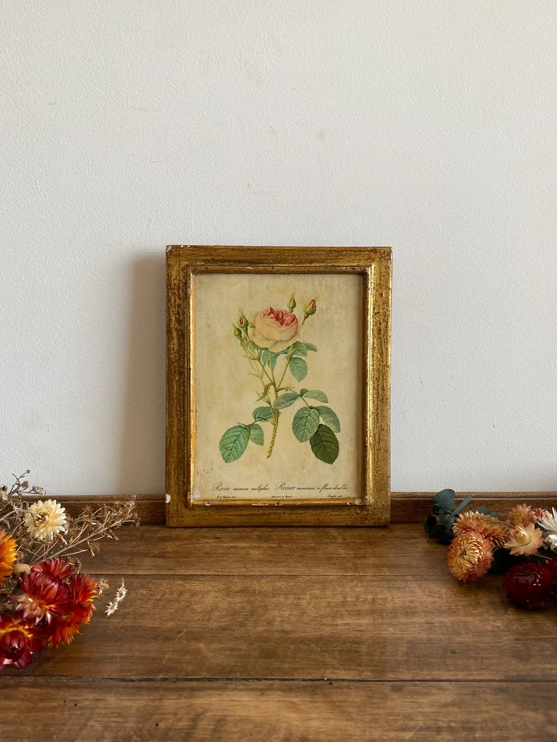 Cadre en bois doré avec fleur Redouté
