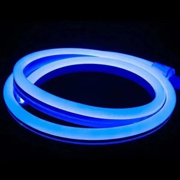 Bande LED néon flexible 12V Bleu 5M