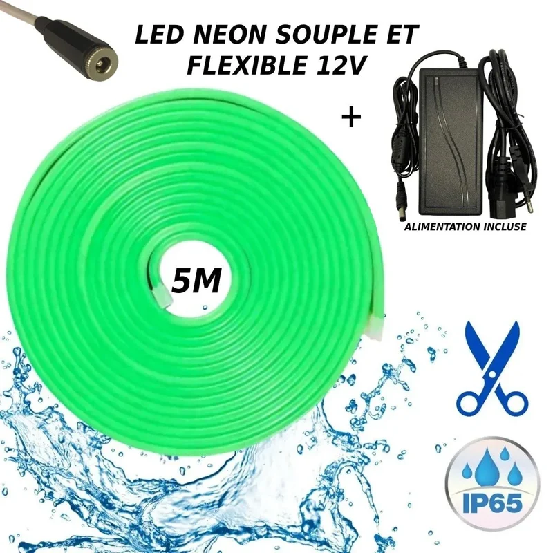 Bande LED néon flexible 12V Vert 5M