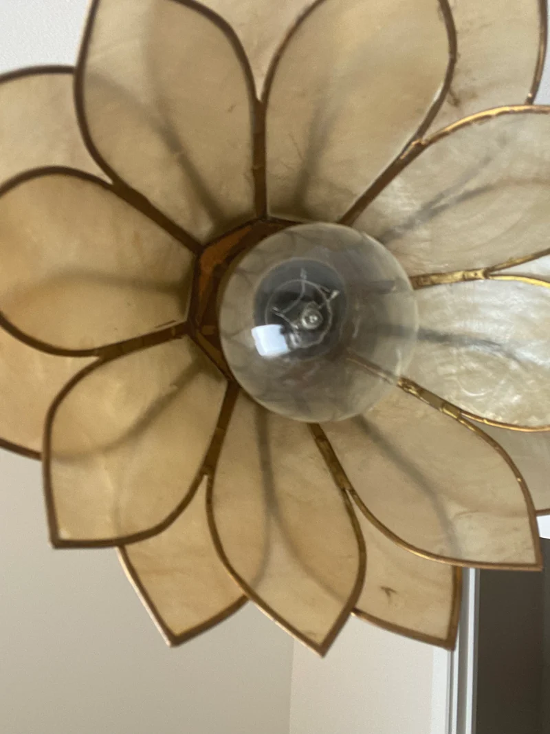 Lampe en laiton fleur nacrée