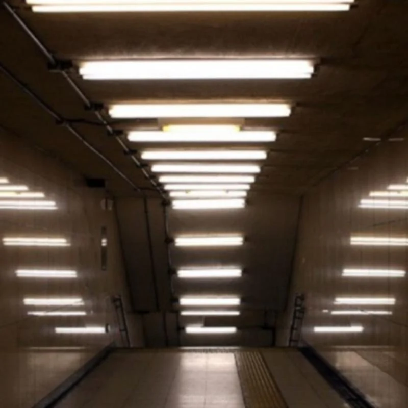 Tube néon LED 60cm T5 9W - Pack de 10