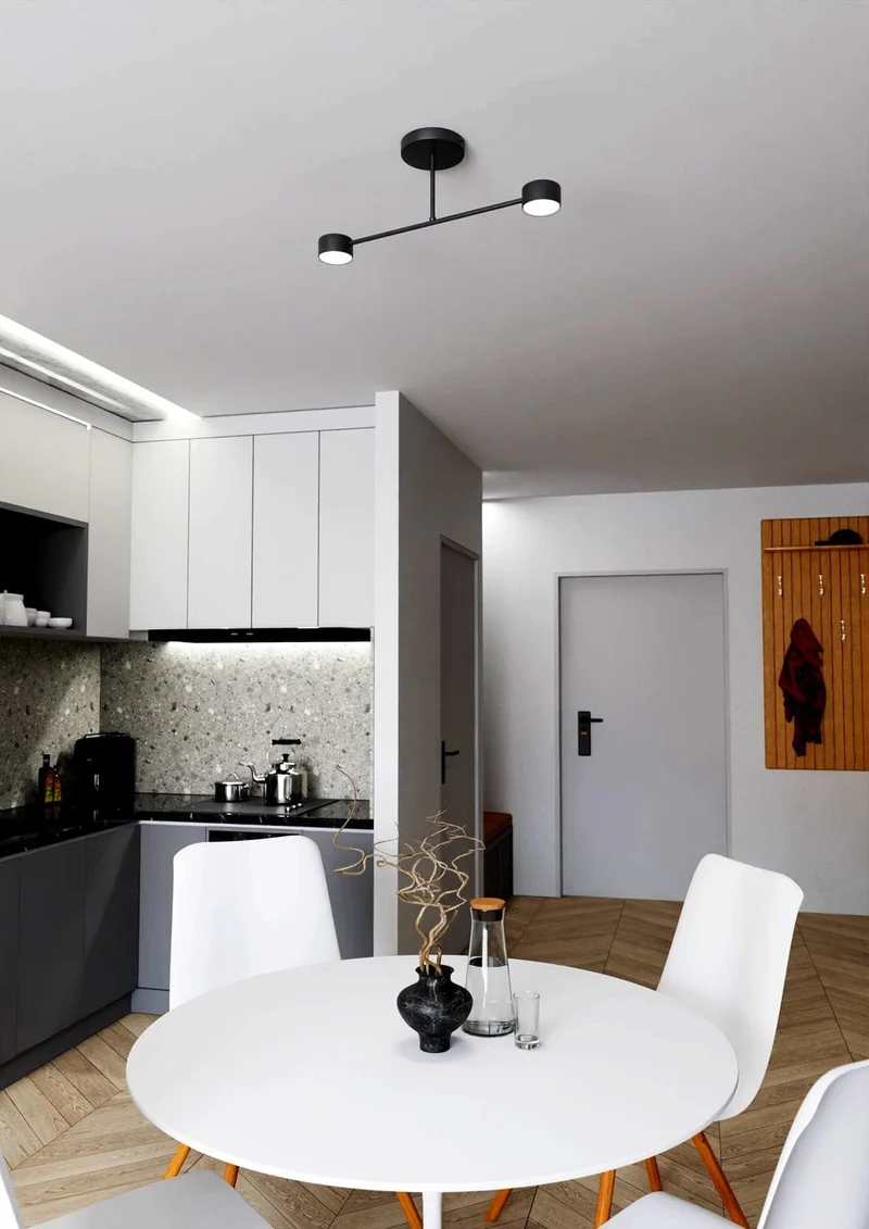 Plafonnier Noir Salle d'Eau