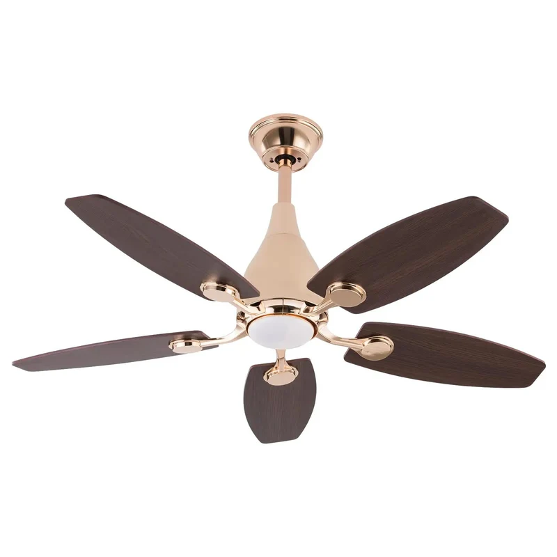 Modern Ceiling Fan With Built In Led Light And Handheld Switch 5 Blades Heavy Duty Iron Rig With Top Shelf Durability Solid As Rock For Living Room And Bedroom Spaces