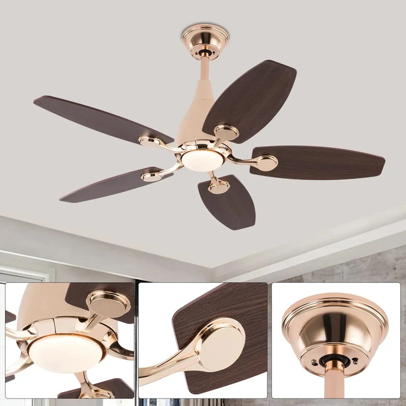 Modern Ceiling Fan With Built In Led Light And Handheld Switch 5 Blades Heavy Duty Iron Rig With Top Shelf Durability Solid As Rock For Living Room And Bedroom Spaces