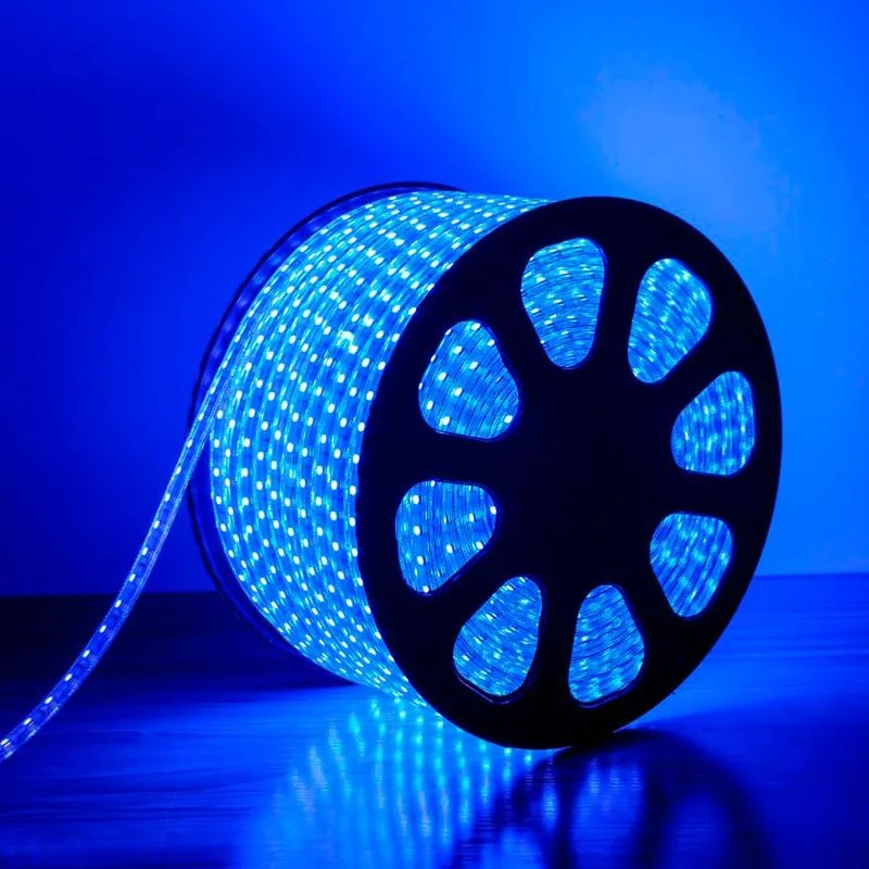 Ruban LED 50M 220V RGB Recoupable 5050 IP65 60LED/m + Télécommande