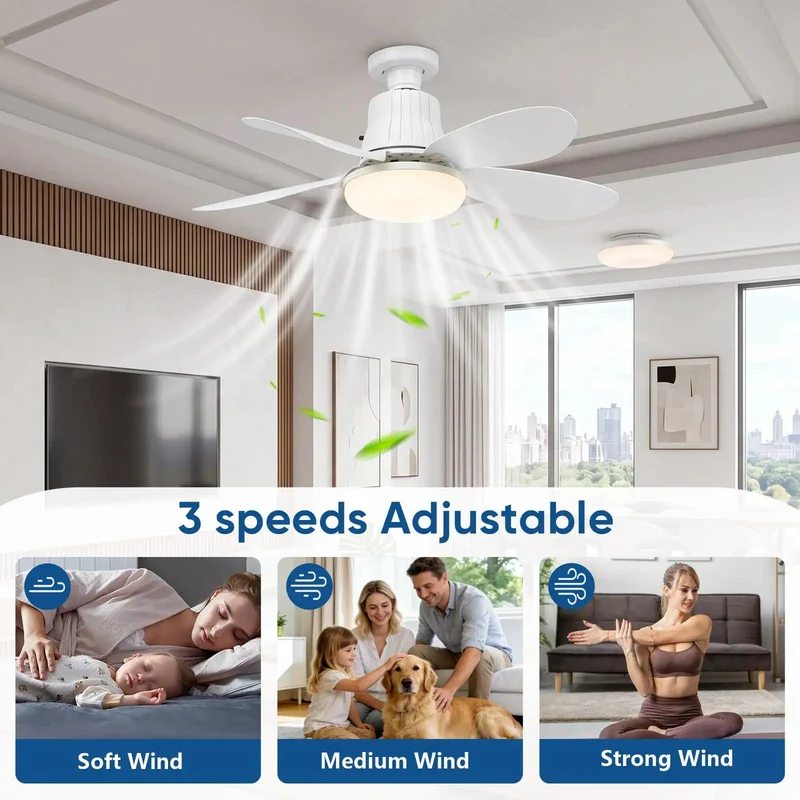 Breezy 20.5 Inch Screw In Socket Fan Light With Remote, Three Speed Settings, Three Color Dimmable Bulb, 1800 Lumens, No Sweat Setup For Bedroom Kitchen Garage Or Laundry Room