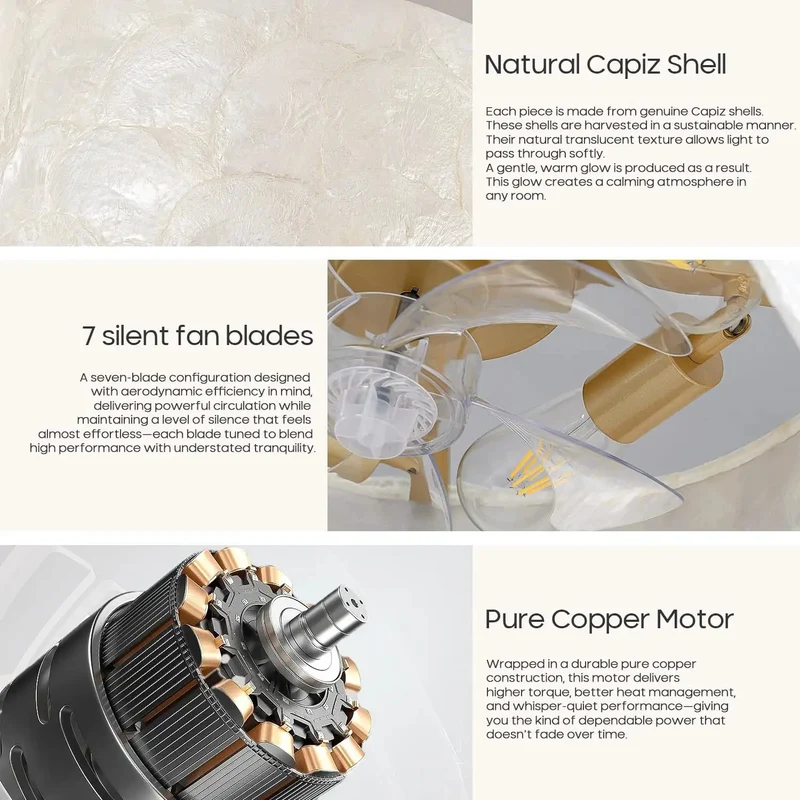 Boho Shell Caged Ceiling Fan With Adjustable Warm Light And Wireless Remote Six Speed Settings Solid Build Quality Next Level Airflow For Chic Bedroom Nesting