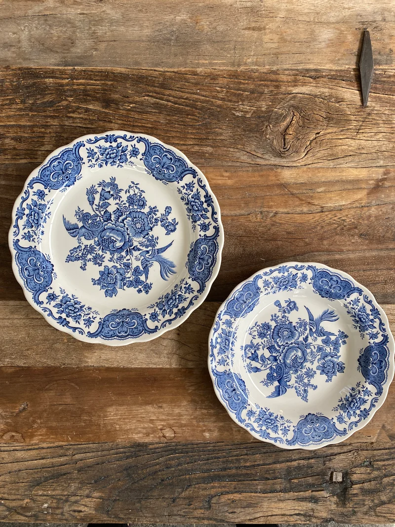 Assiettes plates et creuses Ridgway