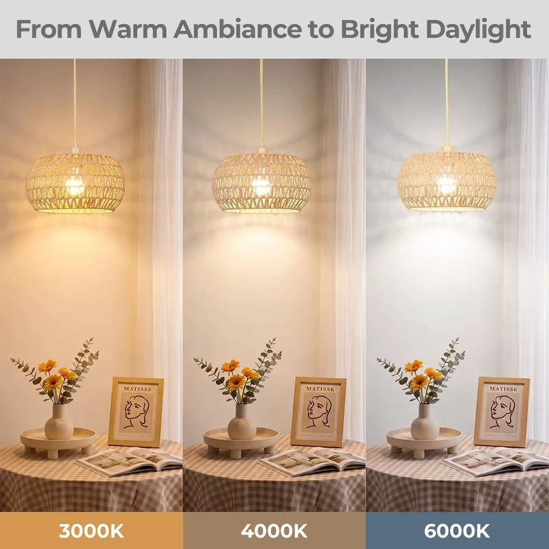 Ace Boho Plug In Pendant Light With Handwoven Macrame Coverage and 3 Way Bulb Setup Plus Fourteen Foot Drop Cord for Smooth Ceiling Upgrade Vibes Anyday
