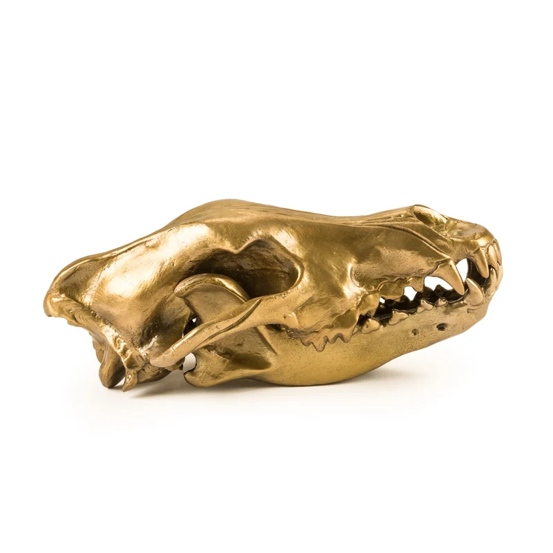 Seletti Diesel Wunderkammer Wolf Skull