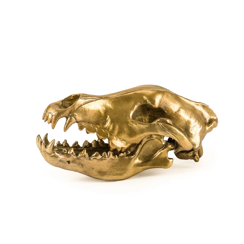 Seletti Diesel Wunderkammer Wolf Skull