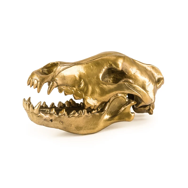 Seletti Diesel Wunderkammer Wolf Skull