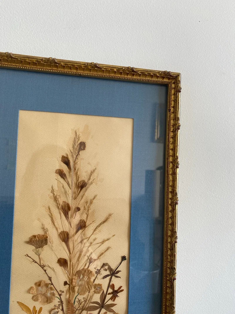 Fleurs séchées sur papier cadre doré travaillé