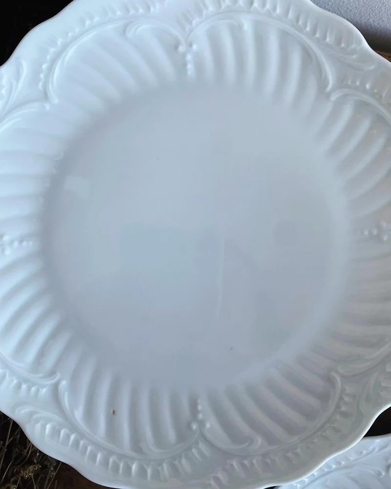 Jolies assiettes blanches en porcelaine de Limoges avec moulures