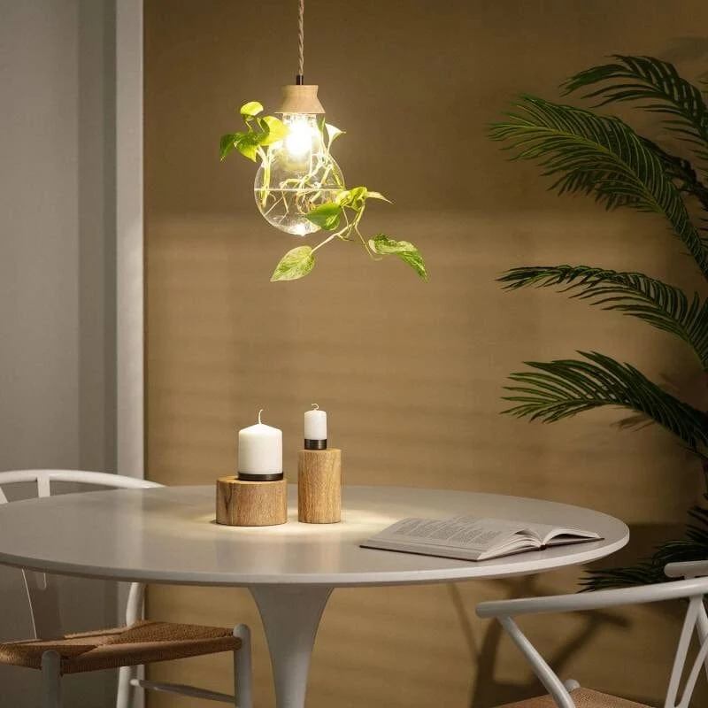 Suspension ampoule fausse plante et verre