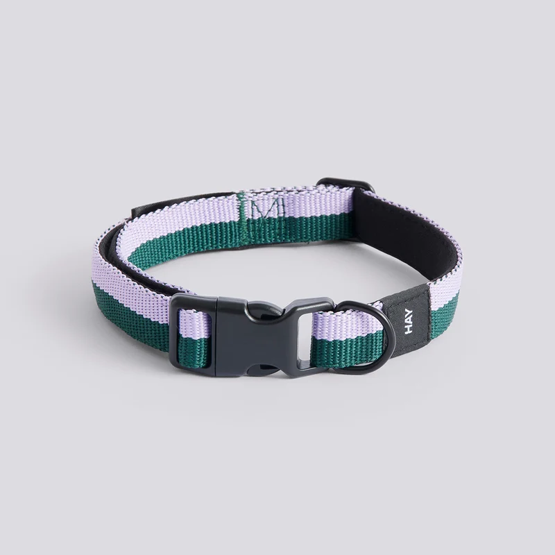 Hay Dogs Collar Flat