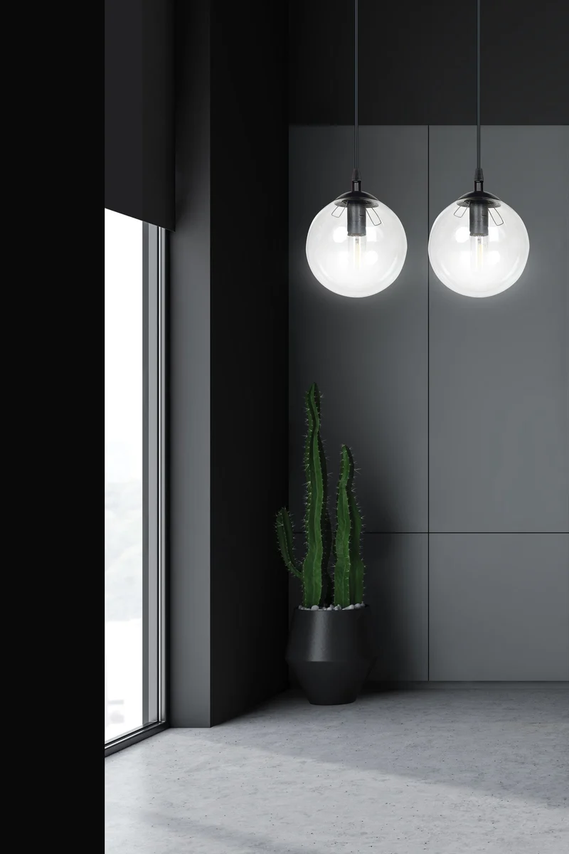Globe Suspension Luminaire