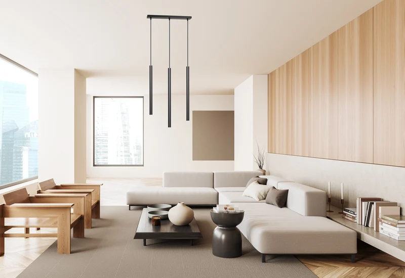 Luminaire Noir Suspension