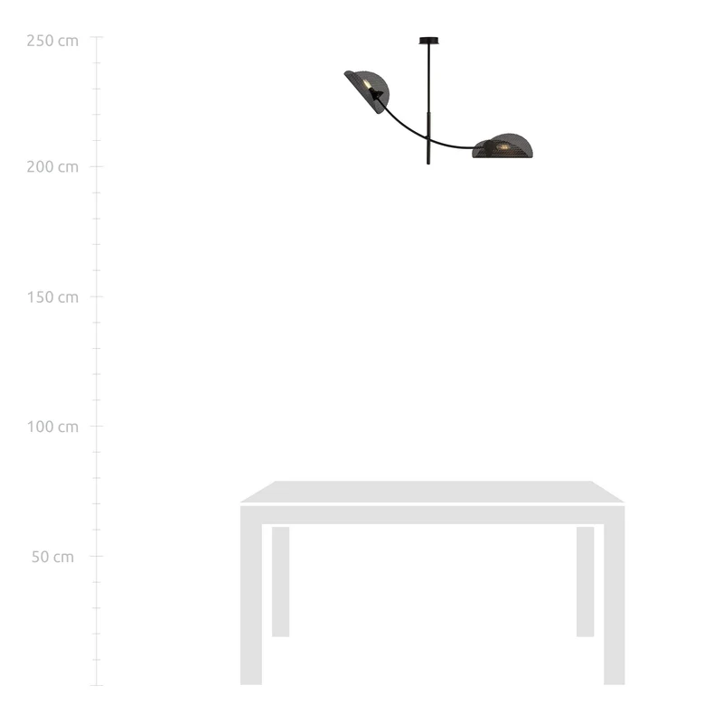 Design Plafonnier