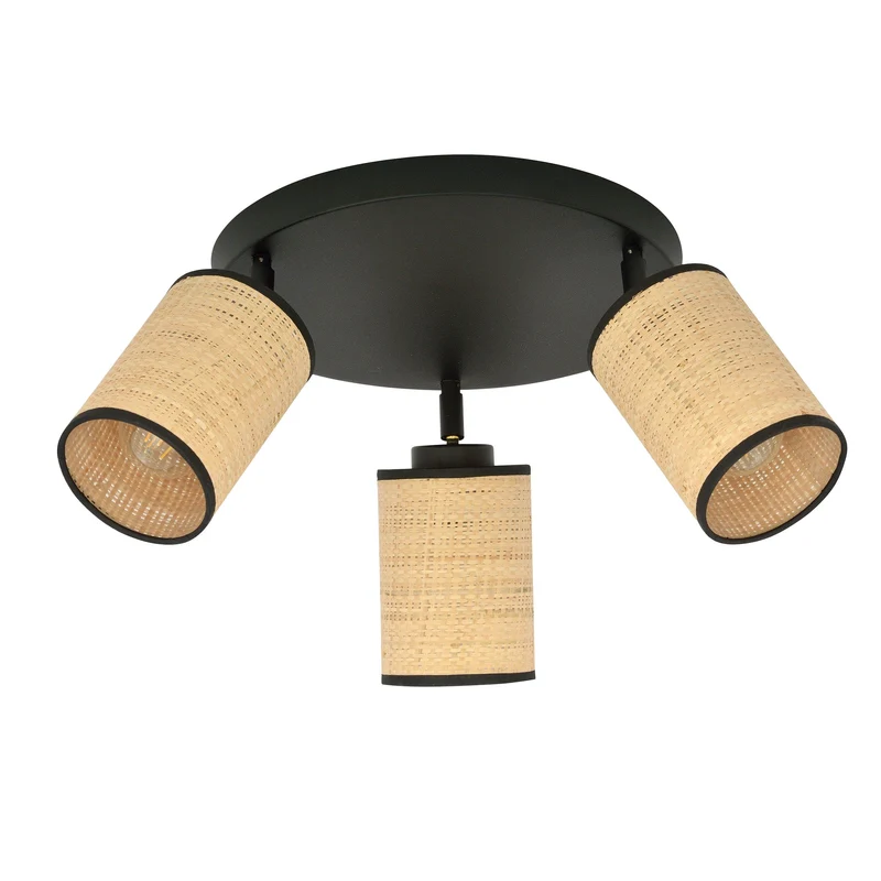 Plafonnier Ancien
